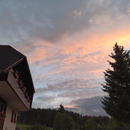 Ferienwohnung Brentenholz St. Georgen im Schwarzwald Buitenkant foto