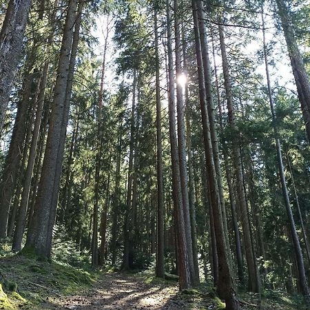 Ferienwohnung Brentenholz St. Georgen im Schwarzwald Buitenkant foto