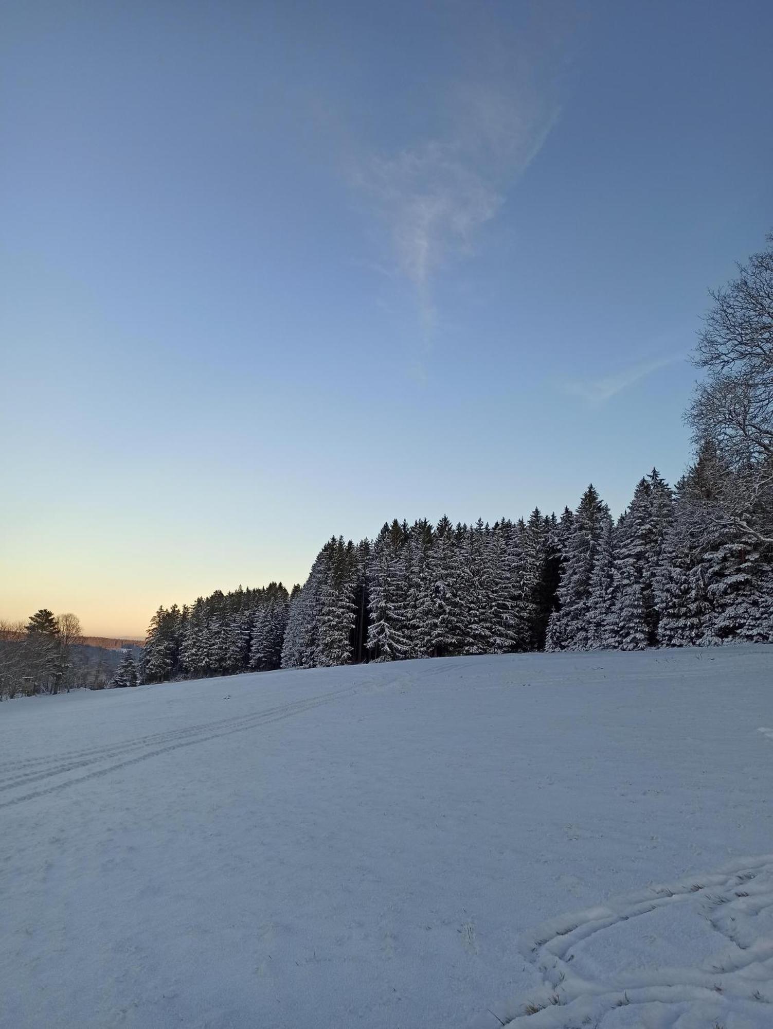 Ferienwohnung Brentenholz St. Georgen im Schwarzwald Buitenkant foto