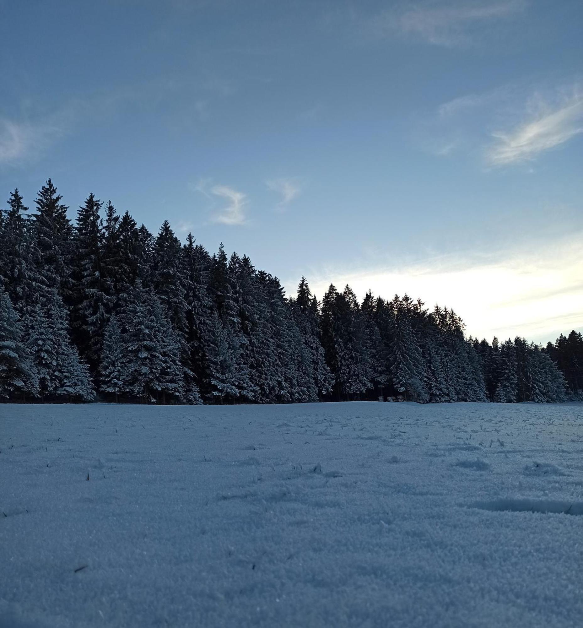 Ferienwohnung Brentenholz St. Georgen im Schwarzwald Buitenkant foto