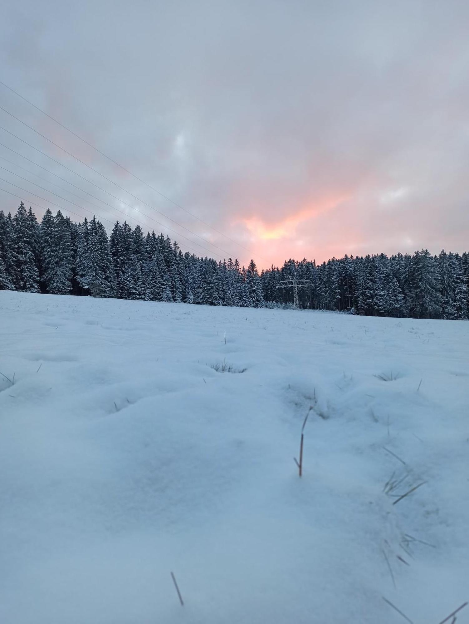 Ferienwohnung Brentenholz St. Georgen im Schwarzwald Buitenkant foto